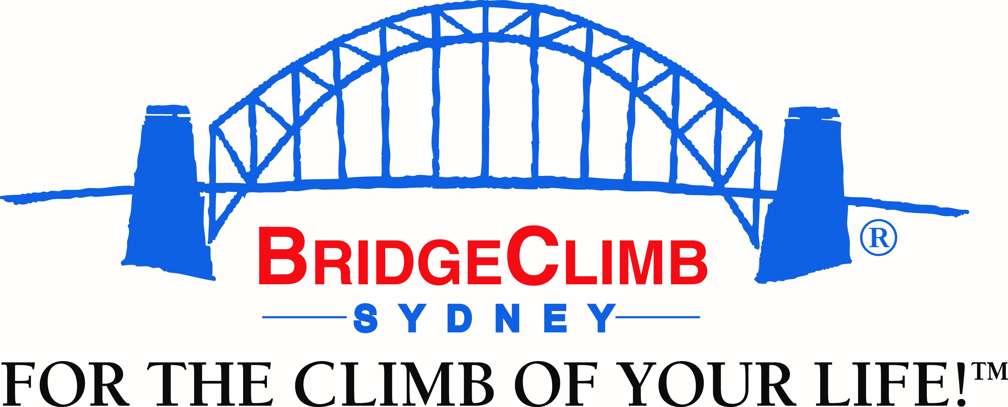 Bridge Climb Sydney image